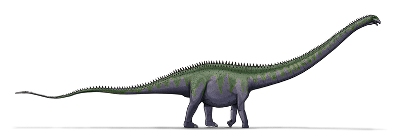 File:Supersaurus. Wikimedia Commons
